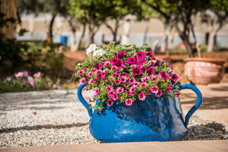 Mear Apartments And Studios Gialos  المظهر الخارجي الصورة